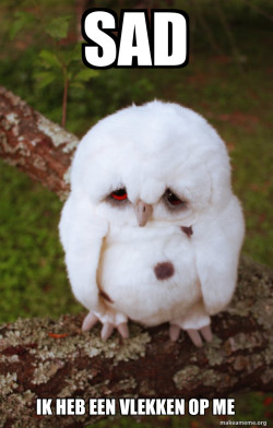 Sad Owl