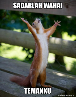 Happy Squirrel