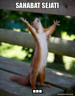 Happy Squirrel