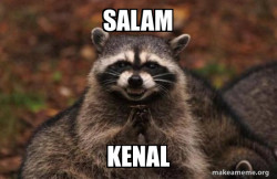 Evil Plotting Raccoon