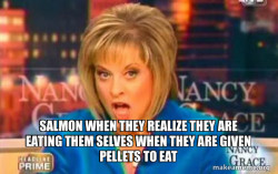 False Fact Nancy Grace