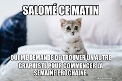 Cute Kitten
