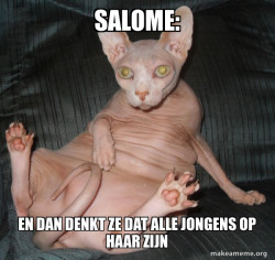 Hairless Cat