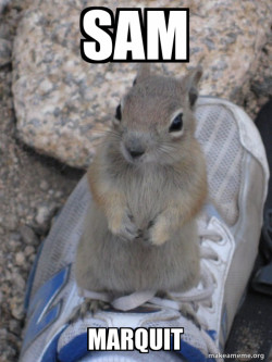 Standover Squirrel
