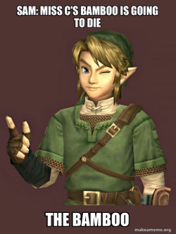 Zelda