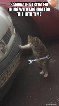 Mechanic Cat