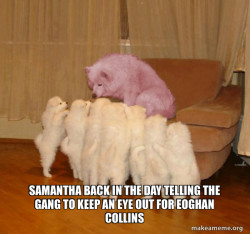 Malicious Storytelling Dog