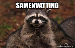 Evil Plotting Raccoon