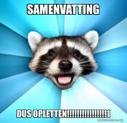 Lame Pun Coon