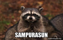 Evil Plotting Raccoon