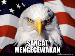 American Pride Eagle