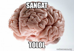 Otak
