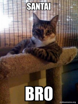 The Most Interesting Cat in the World