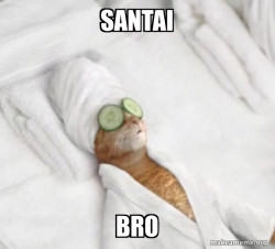 Pampered Cat Meme