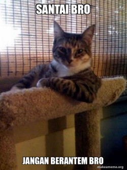 The Most Interesting Cat in the World