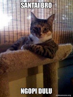 The Most Interesting Cat in the World