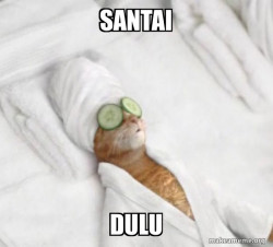Pampered Cat Meme