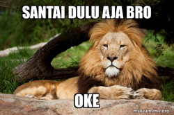 Contemplative Lion