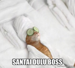 Pampered Cat Meme
