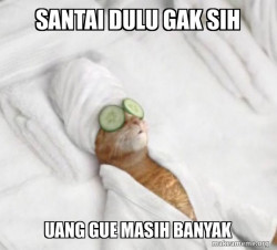 Pampered Cat Meme