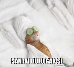 Pampered Cat Meme