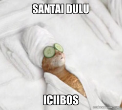Pampered Cat Meme