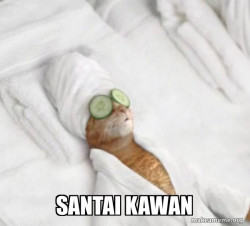Pampered Cat Meme