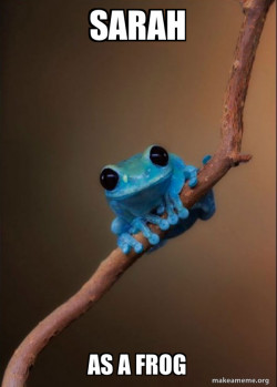 Small Fact Frog