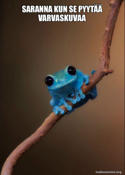 Small Fact Frog
