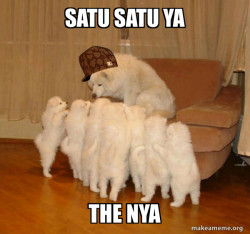 Scumbag Storytelling Dog