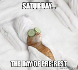 Pampered Cat Meme