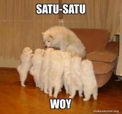 Storytelling Dog