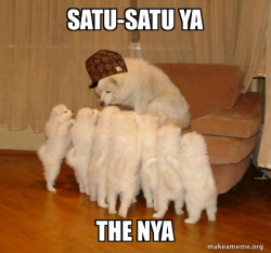 Scumbag Storytelling Dog