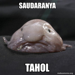 Blobfish