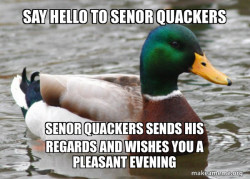 Actual Advice Mallard