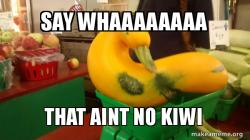 Gourd Advice Mallard