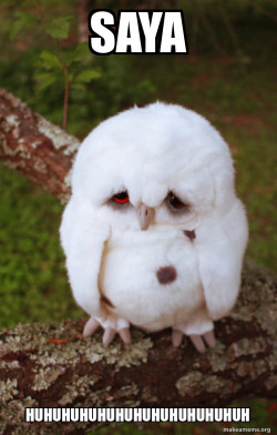 Sad Owl