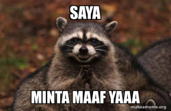 Evil Plotting Raccoon