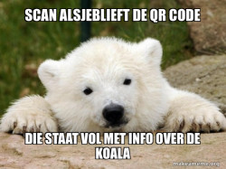 Popular Opinion Bear