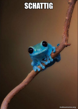 Small Fact Frog