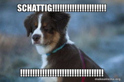 Unsure Dog