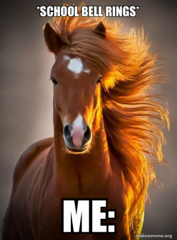 Ridiculously photogenic horse