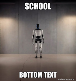 Tesla Robot