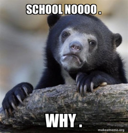 Confession Bear