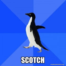 Socially Awkward Penguin