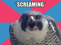 Millennial Falcon