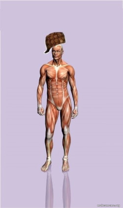 Scumbag Body