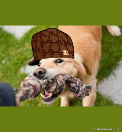 Scumbag dog