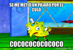 Mocking SpongeBob