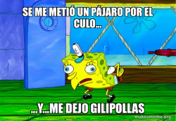 PÃJARO POR EL CULO